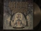 Signed To Plant a Seed Clear Vinyl by We Came as Romans /1000 And Autographed