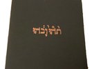 Godspeed You  Black Emperor - Slow Riot for New Zero Kanada E.P.