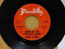 Larry N Mike teen doo wop 45 Queen Of the Starlight Dance bw We Fell In Love