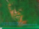 SLAYER - VIOLENT BRAINS LIVE AT THE DYNAMO EINDHOVEN GREEN VINYL 2LP