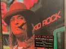 Devil Without a Cause by Kid Rock (Record, 2016) RARE Vinyl
