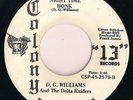 Rare Rockabilly D.G. WILLIAMS & Delta Raiders - NIGHT TIME HONK - COLONY 45 rpm