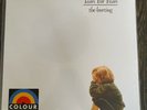 Tears For Fears - The Hurting - Uk White Coloured Vinyl.  New Sealed