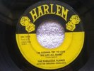 THE FABULOUS FLAMES - I'M GONNA TRY / SO LONG MY DARLING (HARLEM) TX RARE 45RPM