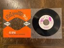 THE WAILERS out of our tree / Rockin' Robin Roberts and the fabulous NORTON 7