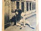 Active Dog Rat Race SLEEVE Modernettes Pointed Sticks DOA Young Canadians Punk