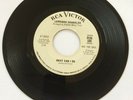 Lorraine Chandler - What Can I Do - Original RCA 45