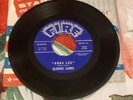 Elmore James Stranger Blues / Anna Lee 45 Rpm Fire Records