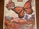 A Passing Fancy Self-Titled Lp Record (12”) 33 RPM