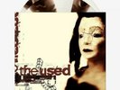 The Used Self Titled Bone And Black Pinwheel LE 500 Vinyl Newbury Exclusive
