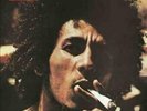 Bob Marley and the Wailers * Catch A Fire [Vinyl LP]