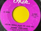 Northern Soul 45-Sandi Sheldon-You're Gonna Make Me Love You-Okeh 70s Reissue M