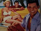 TIME-LIFE: The Rock N' Roll Era TEEN IDOLS - 2 Album Box Set Vinyl LP's
