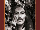George Harrison Collection Box 18 LP Vinyl Beatles