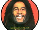 MINT  BOB MARLEY & THE WAILERS WAITING IN VAIN PICTURE PIC DISC 7