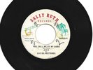 Panama Soul 45 Los Silvertones - You call me by my name on Sally Ruth HEAR