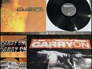 CARRY ON A Life Less Plagued LP Vinyl 1st Press sticker poster-nails youth code