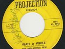 THE REMAINING FEW 1967 HOLY GRAIL GARAGE PSYCH 45 SIGNED - HEAR  WAIT A WHILE