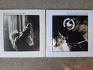 U2 Wide Awake In Amerika + Wide Awake in Europe Fan Club  Live EP  LP
