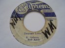 BOB ANDY + SHINE & BAGGA Desperate Lover SUPREME Reggae 7