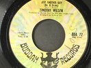 TIMOTHY WILSON: just another guy / my queen of hearts BUDDAH 7
