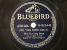 COUNTRY BLUE SKY BOYS GUITAR MANDOLIN Are You From Dixie? BLUEBIRD 8294 EE+