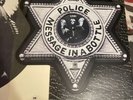 THE POLICE-MESSAGE IN A BOTTLE PICTURE DISC IN FOLDER USA   -:)....