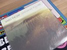 Saves The Day Stay What You Are Purple Marble Vinyl Lp Record