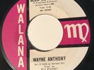 RARE NORTHERN SOUL 45 Wayne Anthony Walana Lbl. MINT