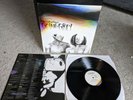 The Front Bottoms - GOING GREY - Vinyl LP - VG+ Wax
