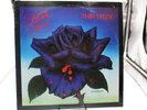 THIN LIZZY BLACK ROSE A ROCK LEGEND 1979 LP Record Ultrasonic Clean NM cVG/VG+