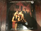 And Also the Trees- Farewell to the Shade Vinyl LP Original Pressing with Lyrics