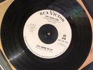 Roy Hamilton - You shook me up - RCA Victor demo (NM)