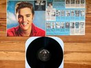Elvis Presley: For LP Fans Only Vinyl 1965 Stereo RCA Victor OG Inner Sleeve VG+