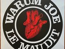 WARUM JOE Aime le maudit 1993 French Post punk synth wave RE 2021 1ère en Vinyle