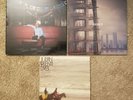 Julian Plenti Is Skyscraper, Lives EP, & Paul Banks ST Vinyl Record LP Interpol