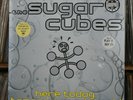 THE SUGARCUBES  'HERE TODAY, TOMORROW NEXT WEEK '  1989 ELECTRA PROMO  M-/NM