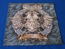 SKYCLAD / The Wayward Sons Of Mother Earth ORIG GERMANY 1st PRESS LP 1991 GREAT
