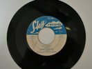 BOBBY ROBERTS w/ Highpockets Delta Rockets Big Sandy / She's My Woman Sky 101 56