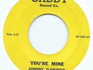 R&B / DOO WOP 45 - JOHNNY FLAMINGO 