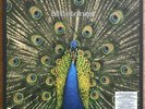 The Bluetones 'Expecting To Fly' 4LP BLUE Vinyl Boxset New Sealed W. Bonus 12”