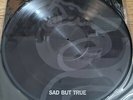 Metallica Black Album Box Set Item. Sad But True Picture Disc 180G Vinyl EP