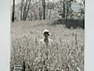 Taylor Swift Folklore In The Weeds LP, Album, Limited Edition, Teal 2 X Vinyl