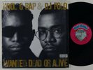 Kool G Rap & DJ Polo 