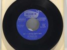 The Ravelles, “Psychedelic Movement” Garage Rock Promo 45 on Mobie G+
