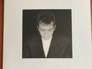PETER GABRIEL Shaking The Tree: Sixteen Golden Greats 2LP 200gm CLASSIC RECORDS
