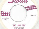 THE BEATLES She Loves You (Sie Liebt Dich) on Swan white label rock 45