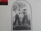CAR SEAT HEADREST - Teens of Denial (RECALLED Unplayed VINYL LP NEW SEALED)