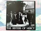 THE SISTERS OF MERCY . THE DAMAGE DONE . WATCH .VINYL.7