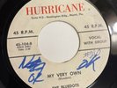 THE BLUEDOTS   HURRICANE   MY VERY OWN   Rare Orig. MIAMI, FL DOO WOP